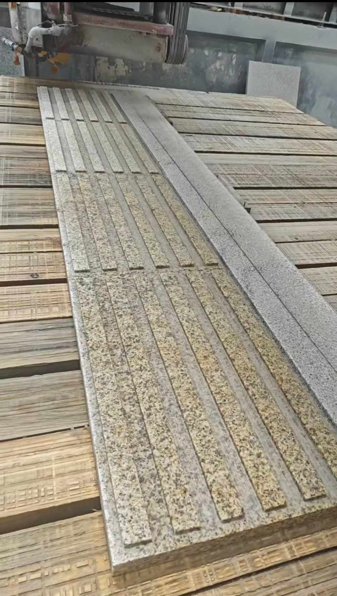 中山黄金麻盲道石 盲条